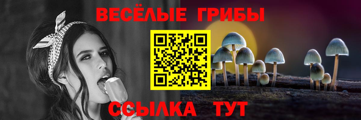 Псилоцибиновые грибы Magic Shrooms Заринск